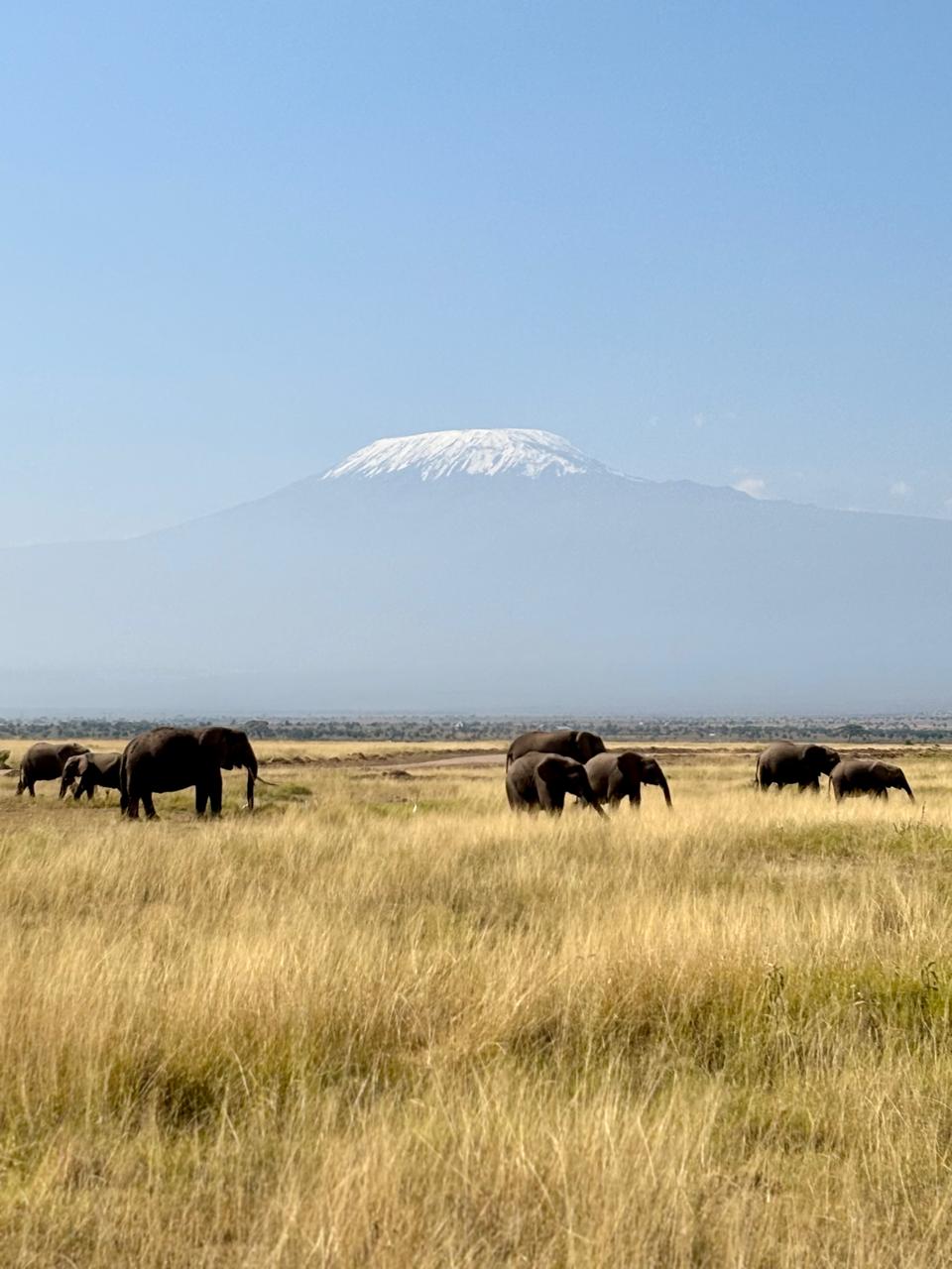 Amboseli National Park